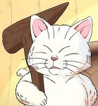 tjuhcy